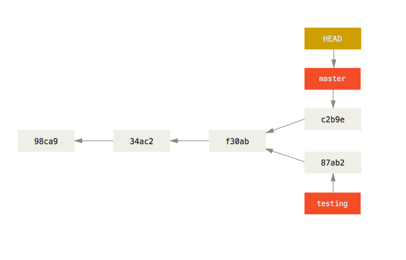 branch example